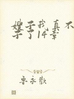 嫂子我真不是傻子了14章封面