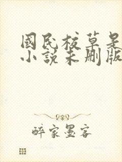 国民校草是女生小说未删版封面