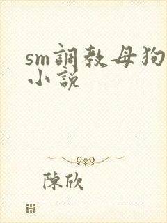 sm调教母狗的小说