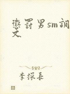 惩罚男sm调教文