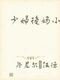 少妇后妈小说
