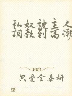 私奴被主人玩弄调教到高潮小说封面