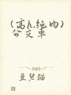 (高h,纯肉)公交车