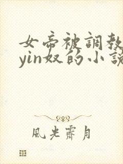 女帝被调教成为yin奴的小说