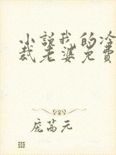 小说我的冷艳总裁老婆免费阅读