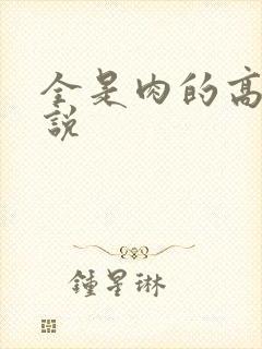 全是肉的高h小说