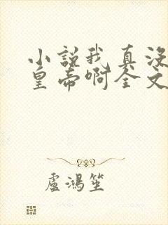 小说我真没想当皇帝啊全文