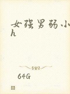 女强男弱小说高h