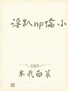 淫趴np伦小说
