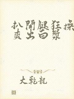 扒开腿狂操女人爽出白浆封面