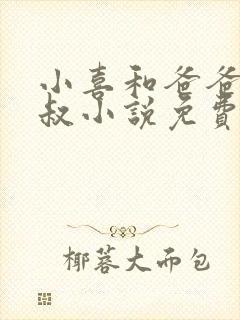 小喜和爸爸和叔叔小说免费阅读封面