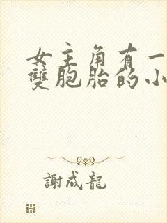 女主角有一对是双胞胎的小说