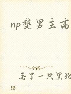 np双男主高h