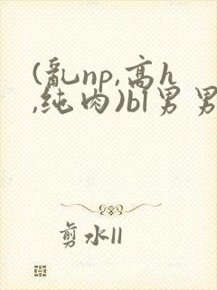 (乱np,高h,纯肉)bl男男