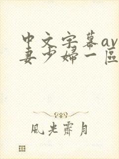 中文字幕av人妻少妇一区二区封面