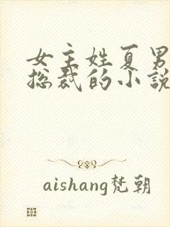 女主姓夏男主是总裁的小说