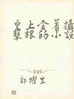 皇上含着摄政王孽根的小说