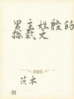 男主姓殷的小说总裁文