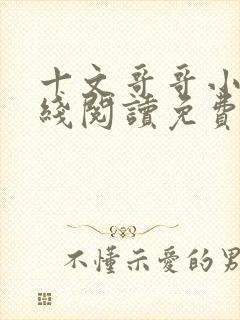 十文哥哥小说在线阅读免费