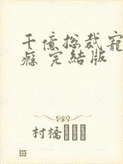 千亿总裁宠妻上瘾 完结版