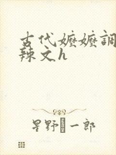 古代嬷嬷调教肉辣文h封面