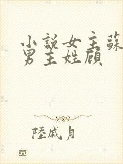 小说女主苏念念男主姓顾