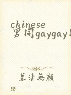 chinese男同gaygay网站封面