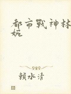 都市战神林北苏婉