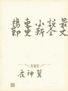 杨东小说最新章节更新全文阅读