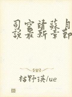 司空靖苏月汐小说最新章节