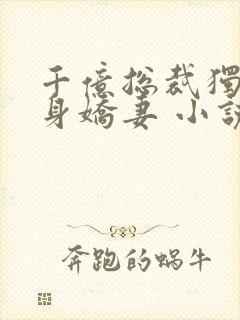 千亿总裁独宠替身娇妻 小说完整封面