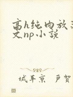 高h纯肉放荡h文np小说