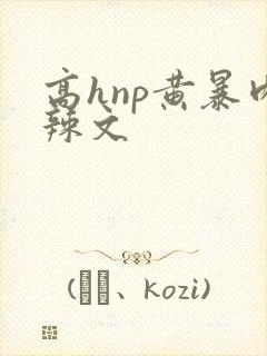 高hnp黄暴肉辣文封面