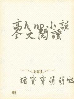 高h np小说全文阅读