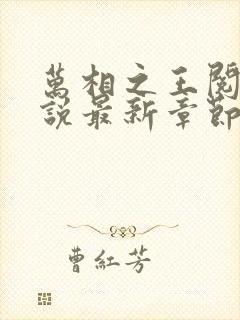 万相之王阅读小说最新章节