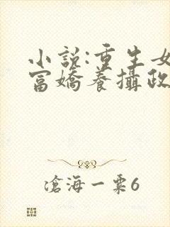 小说:重生女首富娇养摄政王