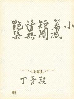 艳情短篇小说合集无删减封面