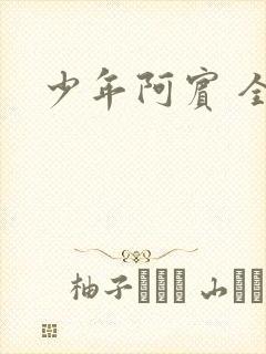 少年阿宾 全文封面