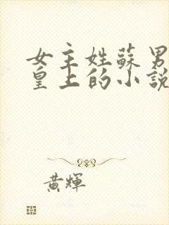 女主姓苏男主是皇上的小说