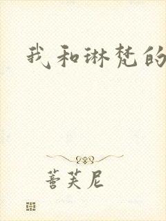 我和琳梵的故事