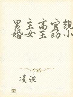 男主高官觊觎已婚女主的小说