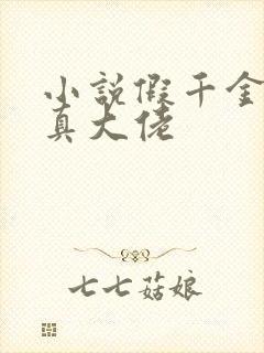 小说假千金她是真大佬