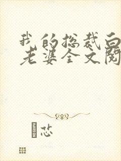 我的总裁白富美老婆全文阅读无删减封面