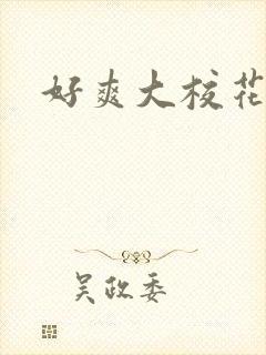 好爽大校花h文封面