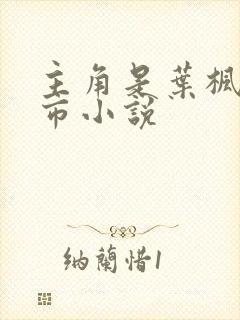 主角是叶枫的都市小说