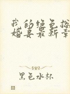 我的绝色总裁未婚妻最新章节列表