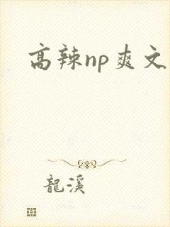 高辣np爽文封面