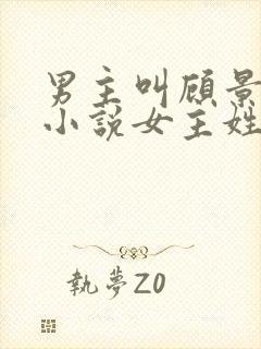 男主叫顾景琛的小说女主姓叶