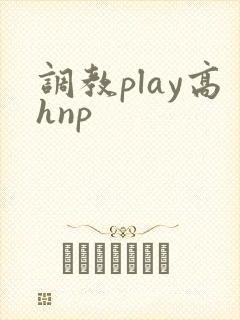 调教play高hnp封面