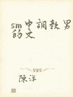 sm中调教男m的文封面